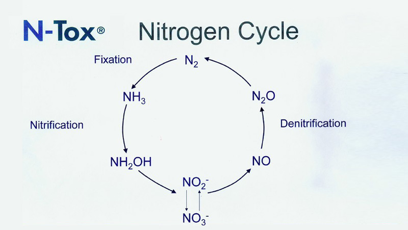 NTOX污水硝化菌報警系統(tǒng)